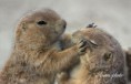 /album/zoo/img-9727-1-jpg/